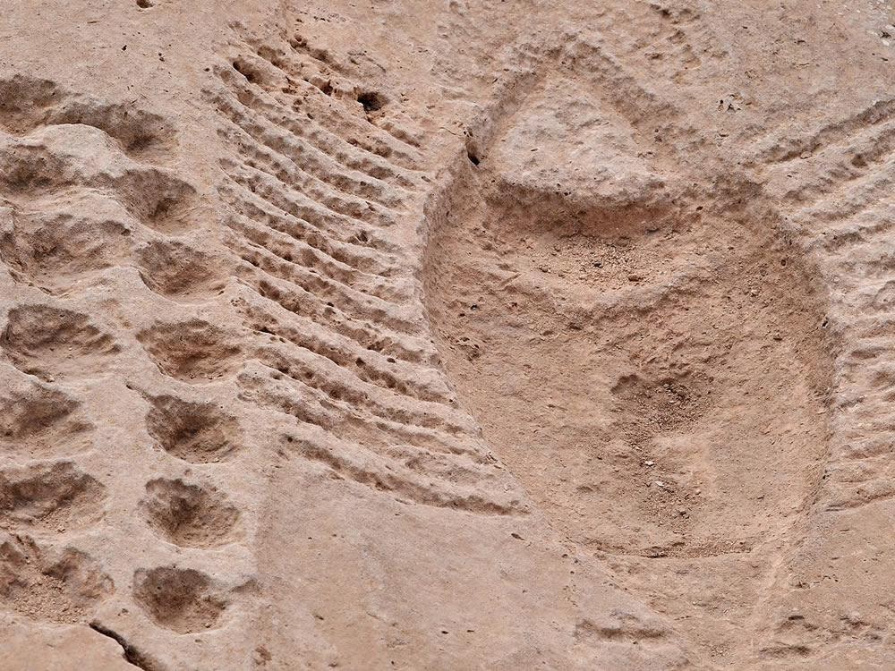 Al Jassasiya Rock carvings